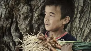 Маленький продавец дикого лука. Кадры из аула, которые вернут вас в детство