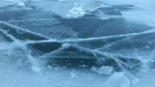 Троих пропавших без вести школьников нашли мертвыми в Алматы