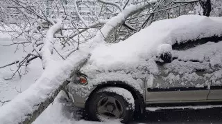 Сагинтаев призвал алматинцев рассказывать об уборке улиц после снегопада