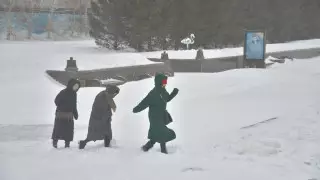 "И этот снег вывезем". Как астанчане реагируют на метель