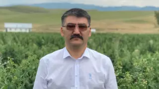 Депутат Мурат Темиржанов ответил на обвинения в похищении денег