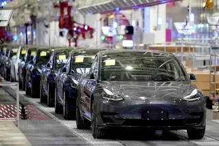 Tesla вырубит в Германии лес для строительства завода