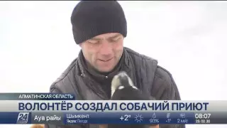 Житель Алматы создал приют для бездомных животных