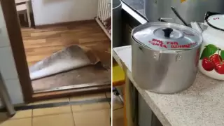 Бегающих по посуде тараканов сняли на видео в детском саду  Алматы