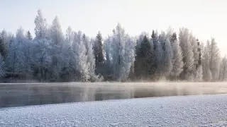 Смертельный мороз. Как 40 лет назад в Татарстане спасали школьников из Казахстана