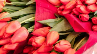 Прибыльный бизнес. Сколько зарабатывают на продаже цветов 8 Марта