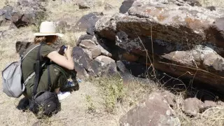 Петроглифтер: сақтар мен түркілердің "тас кітаптары" не жайлы баяндайды