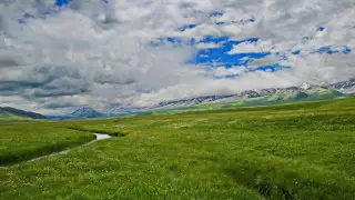 Самая золотая и грибная долина. Что известно о Шалкоде, маленькой "казахстанской Швейцарии"