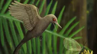 Ученые нашли самого маленького динозавра