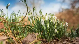 Дожди, туман и гололед прогнозируют в Казахстане
