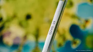 Врач назвал сроки завершения пандемии коронавируса