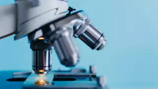 Общественный фонд по борьбе с коронавирусом получил 20 миллионов долларов