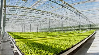 Токаев: Возможны конфликты по земельным вопросам и воде