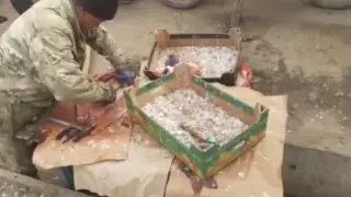 Продавцы легальной и стихийной торговли не поделили рынок в Уральске