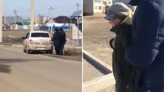 Нарушений нет  - полиция об убийстве собаки на глазах у хозяйки в Семее