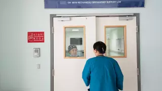 Қазақстанда коронавирус жұқтырған 8 адам ауыр жағдайда жатыр