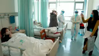 Определен уровень влажности воздуха, подавляющий коронавирус 