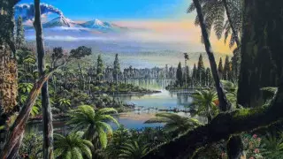 В Антарктиде росли тропические леса - ученые