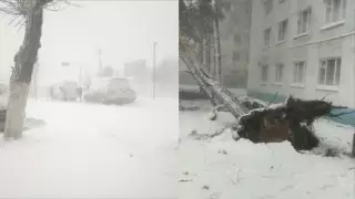 Үш өңірде қатты желден 400-ге жуық ғимарат қираған