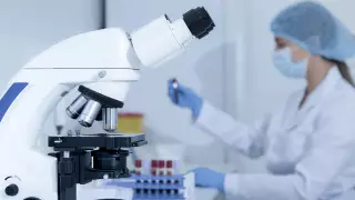 Определен вероятный пик пандемии COVID-19