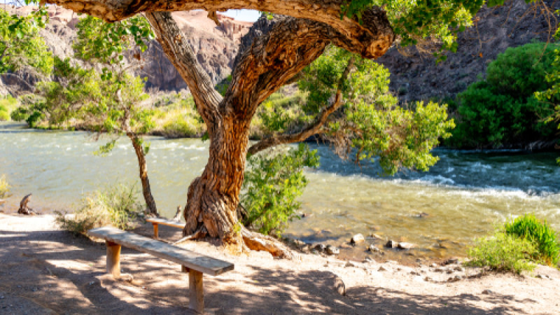 фото©shutterstock