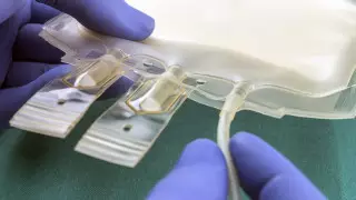 Переливание плазмы при коронавирусе не предусмотрено в Казахстане