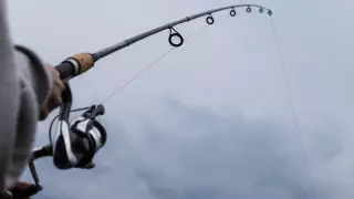 Жители Нур-Султана устроили пикник и рыбалку во время карантина