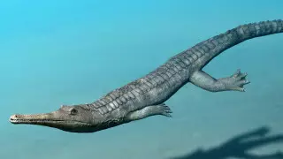 Доисторические крокодилы были похожи на дельфинов - ученые
