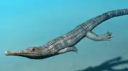 Доисторические крокодилы были похожи на дельфинов - ученые