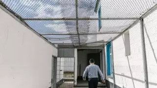 ҚАЖ комитетіне қарасты мекеменің 2 маманы 187 миллион теңге жымқырған деген күдікке ілінді