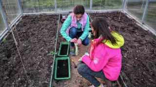 Время для поездки на дачу установили в Нур-Султане