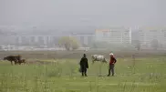 Ученые Сингапура рассчитали дату окончания пандемии в Казахстане