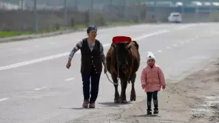 Странам Центральной Азии спрогнозировали небывалый спад