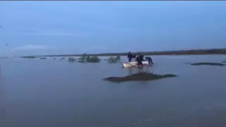 Два села подтопило в Казахстане после прорыва дамбы в Узбекистане