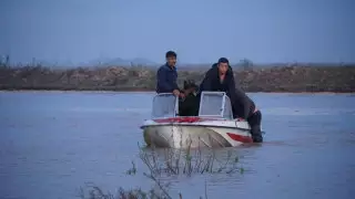 Подтопления в Туркестанской области: видео очевидцев