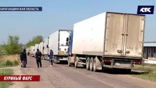 Дальнобойщики сообщили о риске протухания 300 тонн мяса курицы под Карагандой