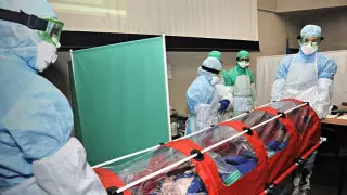 7 человек умерли в Беларуси от коронавируса за сутки