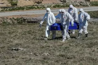 Россию заподозрили в массовом сокрытии жертв COVID-19