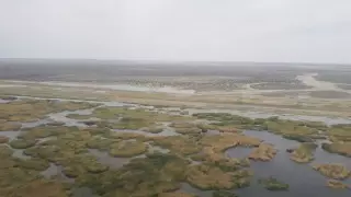 Экология Малого Арала улучшилась