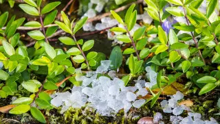 Град, гроза и ветер ожидаются в Алматы