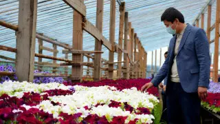 Новую спецтехнику для благоустройства города закупили в Нур-Султане