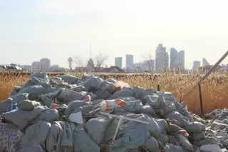 Кульгинов указал подчиненным на несанкционированные свалки