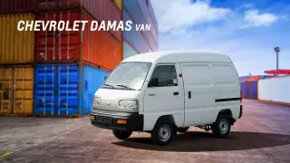 Почему Damas сейчас так популярен?