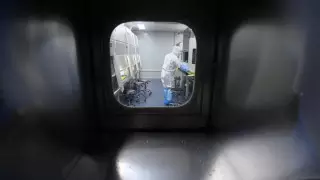 Уханьская лаборатория обнаружила в летучих мышах "вселенную коронавирусов"