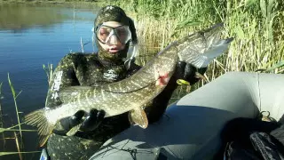 Почему казахстанцы едут на рыбалку в гидрокостюмах. Лучшие места для подводной охоты