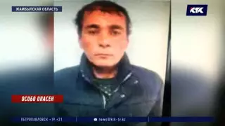 Обезглавленные тела двух женщин нашли в доме чабана в Жамбылской области