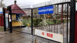 Карантин продлили в ЗКО
