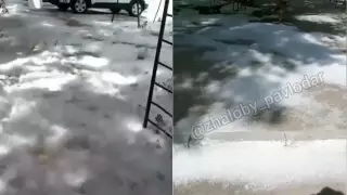 "Ходить невозможно". Павлодар завалило тополиным пухом