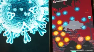 В 7 регионах отмечается рост заболеваемости коронавирусом