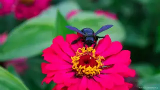 О погоде на весь июнь рассказали синоптики